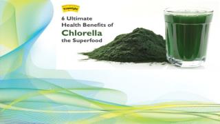 6 Ultimate Health Benefits of Chlorella The Superfood
