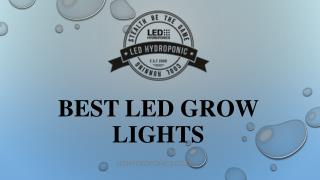 Best Led Grow Lights