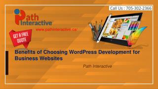 Top Advantages of Choosing WordPress CMS for Business Website