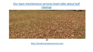 Our lawn maintenance services team talks about leaf cleanup
