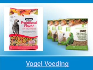 Vogel Voeding