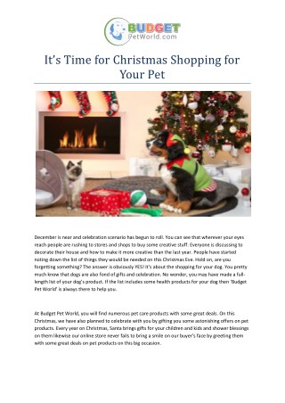 It’s Time for Christmas Shopping for Your Pet