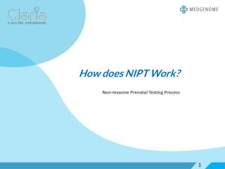 How does NIPT works?