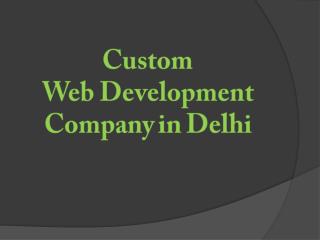 Custom Web Development Services, Web Development Company in Delhi