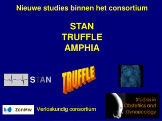 Nieuwe studies binnen het consortium STAN TRUFFLE AMPHIA