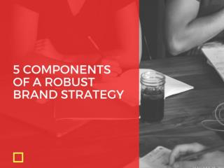 5 Components of a Robust Brand Strategy | Newton Consulting