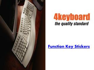 Function Key Stickers for Computer, Desktop and Mac Keyboard