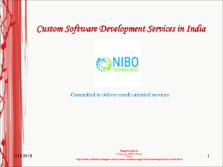 Custom Software Development Services in India - NIBO Technologies