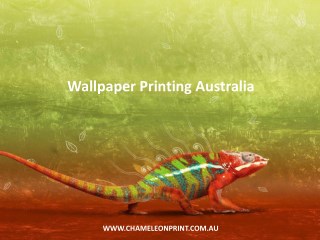 Wallpaper Printing Australia - Chameleon Print Group