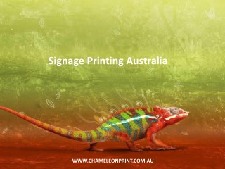 Signage Printing Australia - Chameleon Print Group