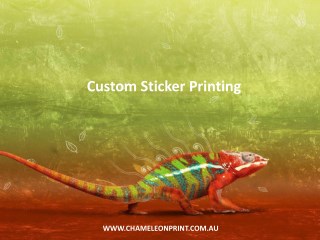 Custom Sticker Printing - Chameleon Print Group