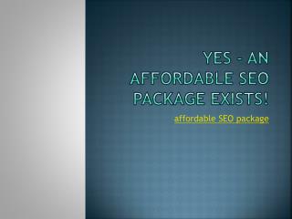 YES - An Affordable SEO Package Exists!