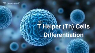 CD4 T cell defferentiation