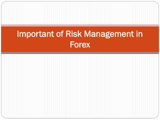 Important of Forex Risk Management