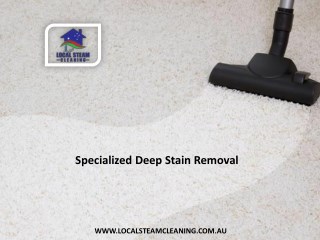 Specialized Deep Stain Removal