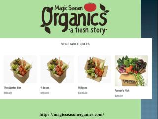 Organic Vegetables Hong Kong