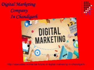 Digital Marketing Company in chandigarh