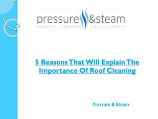 5 Reasons That Will Explain The Importance Of Roof Cleaning