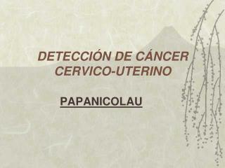 DETECCIÓN DE CÁNCER CERVICO-UTERINO