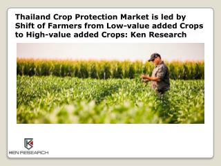 Thailand Crop Protection Market Research Report: Ken Research
