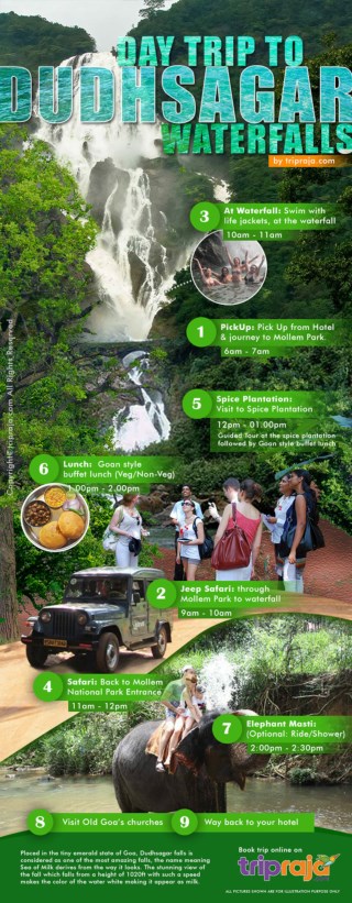 Dudhsagar Water falls, Jeep Booking & Spice Plantation Packages - Goa