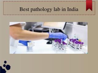 Best labs in delhi