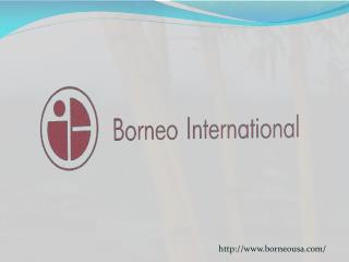 Borneo international