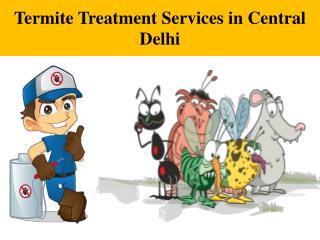 Termite Treatment Services in Central Delhi - Pest Control
