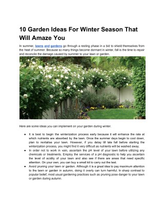 10 Garden Ideas For Winter Season That Will Amaze You