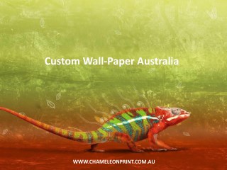 Custom Wall-Paper Australia - Chameleon Print Group