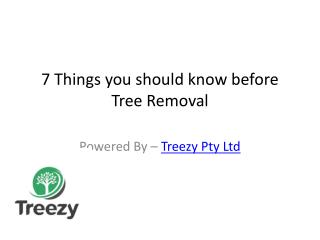 7 Things you should know before Tree Removal