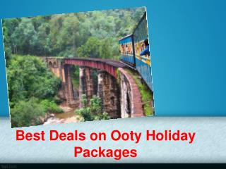Budgeted Holiday Packages for ooty