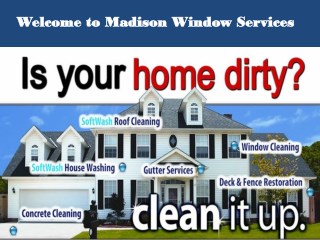 Professional window washers madison