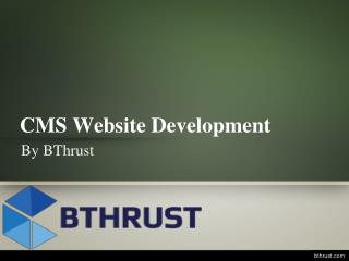 Â CMS Website Development