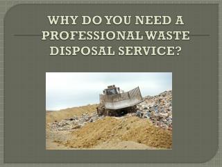 Why Do You Need A Professional Waste Disposal Service?