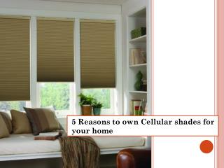 5 Reasons to own Cellular shades for your home