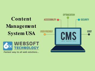 Content Management System USA