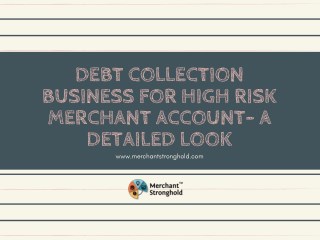 Debt Collection Business For High Risk Merchant Account- A Detailed Look