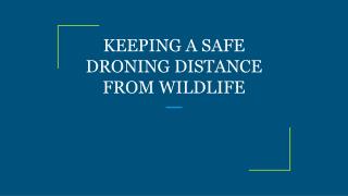 KEEPING A SAFE DRONING DISTANCE FROM WILDLIFE