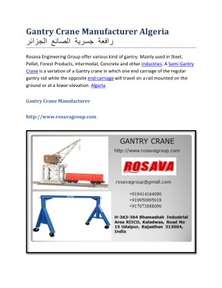 Gantry crane manufacturer algeria