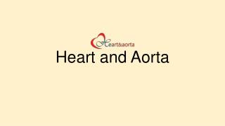 Aortic Surgery in Kerala | Heart and Aortic Diseases