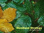Background Relationships Purpose of Indicative Forestry Strategy Who s involved Other influences Issues Aims of the str