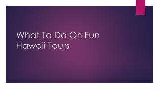 What To Do On Fun Hawaii Tours