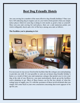 Best Dog Friendly Hotels