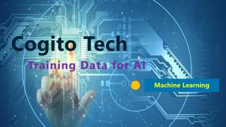 Training Dataset Outsourcing Services | Cogito Tech