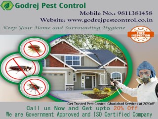 Get Trusted Pest Control Ghaziabad Services at 20%off