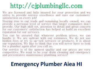 Plumbing contractor Aiea HI - USA