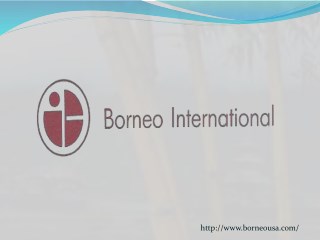 Borneo international