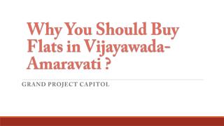 Why You Should Buy Flats in Vijayawada-Amaravati ?