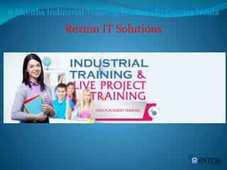 6 Months Industrial Training Institute In Greater Noida